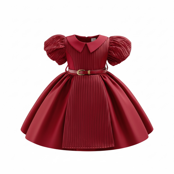 The Elegant Collared Princess Ballgown Dress with Matching Belt