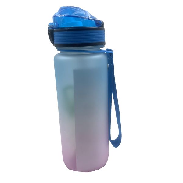 Blue/Pink 740ml Flip Top Water Bottle