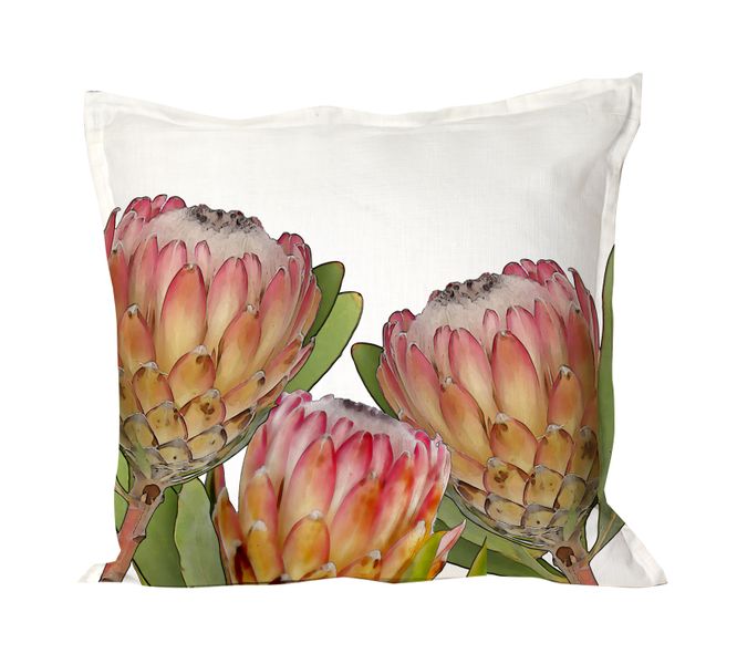I Love it Here - Protea Trio Cushion cover