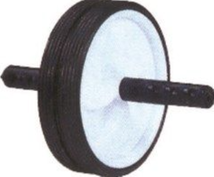 Medalist Exercise Wheel - Black