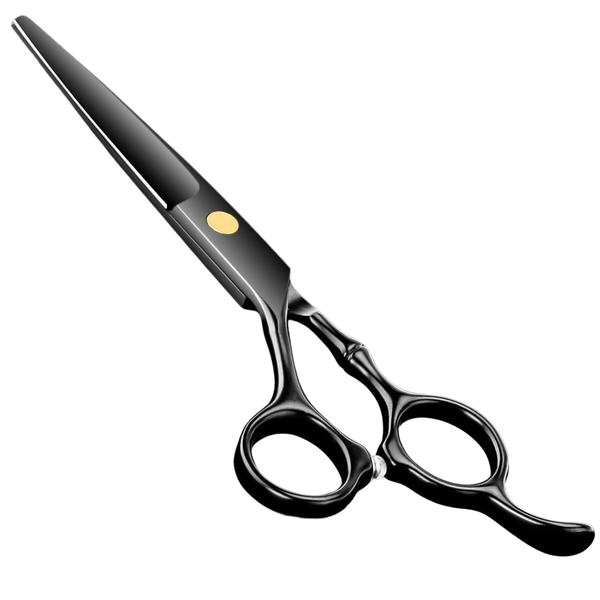 Professional Barber Scissors 5.5 inches Stainless Steel - Black