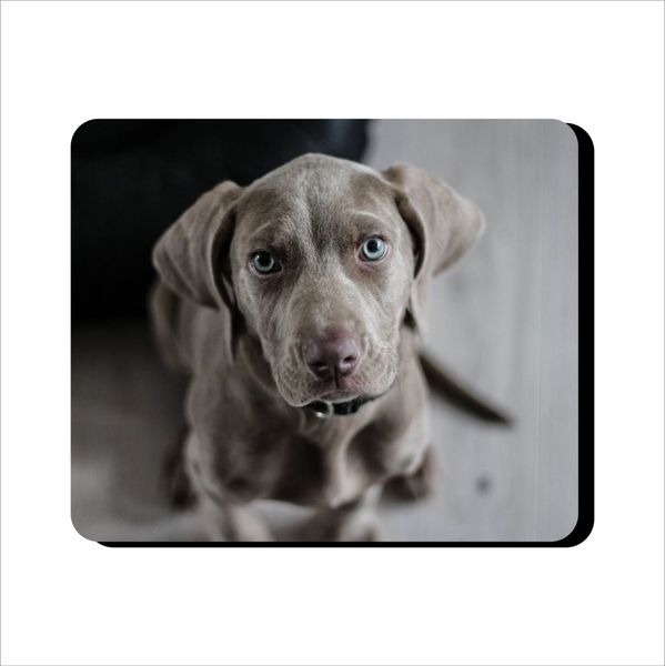 Mouse Pad -Blue Eye Doggie Staring