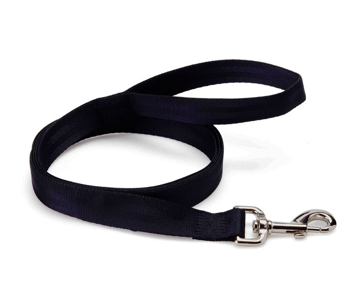 Rosewood Multi-Functional Nylon Dog Lead