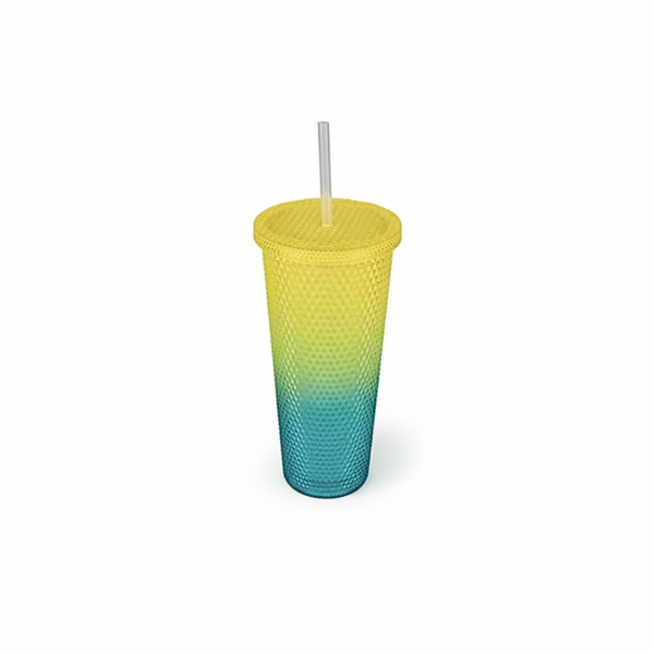 Chic Shatterproof 2 Tone Tumbler with Straw With 750ml Capacity