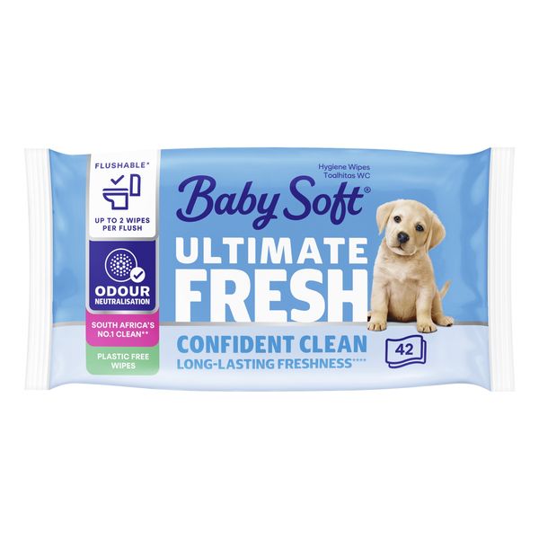 Baby Soft Fresh White Moist Toilet Tissue - 42 Tissues