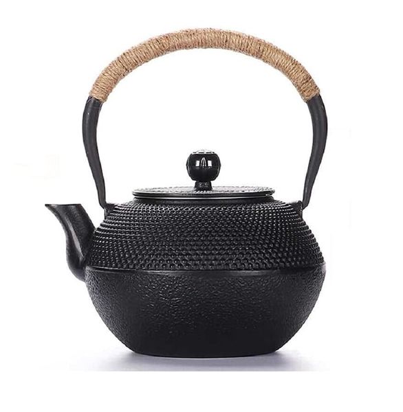 Japanese Tetsubin Cast Iron Teapot Kettle with Stainless Steel Infuser