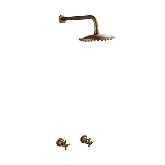 Trendy Taps Premium Quality Brass Shower Set with Dual Handles | Shop Today. Get it Tomorrow ...
