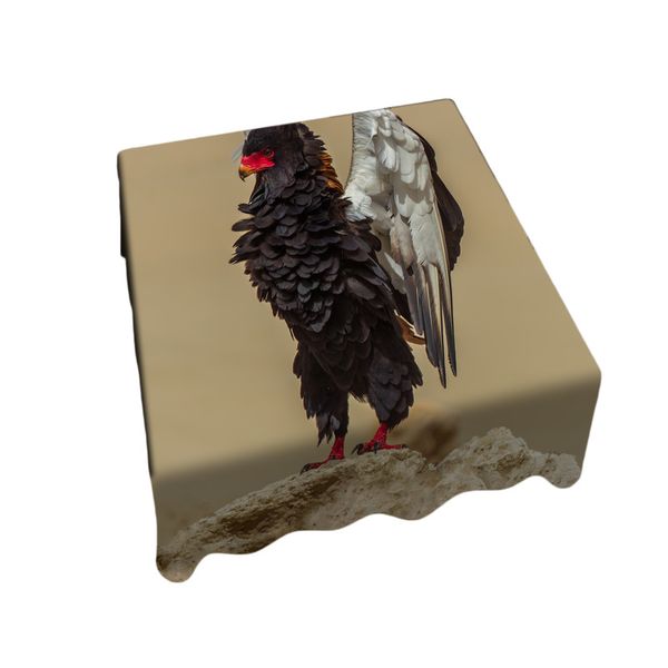 Bateleur Pronk Left Square Tablecloth by Fanie Heymans