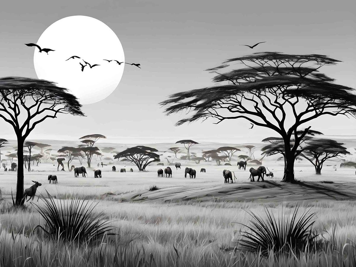 0331-black-and-white-sunrise-canvas-wall-art-shop-today-get-it