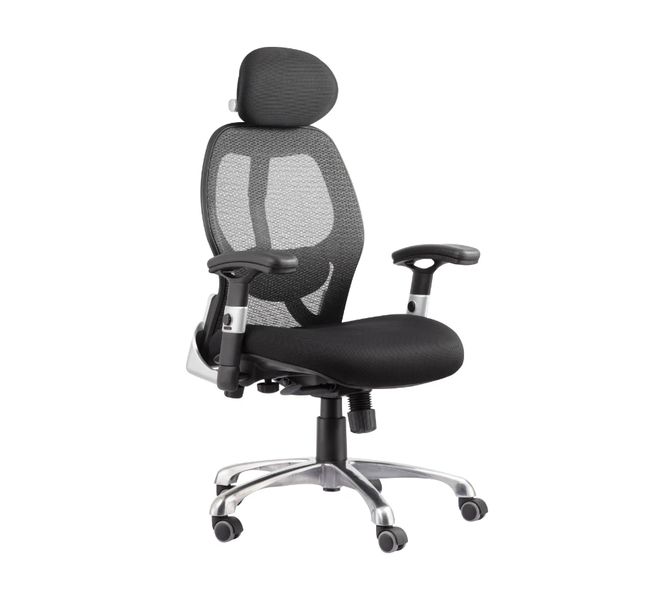 Eay Eay Thing Deluxe Modern Ergonomic Office Chair With Headrest