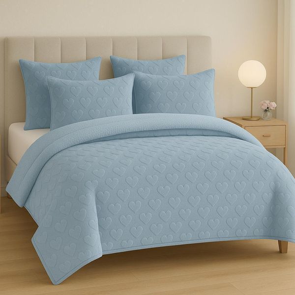 Luxury 5-Piece Queen Heart Embossed Fleece Sherpa Comforter Set(Queen Size)