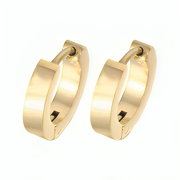 Elegant Hoop Earrings