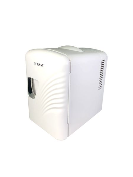 Portable Car &amp; Home Refrigerator - 4L Mini Fridge with Dual Power