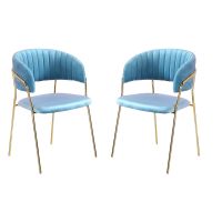 Set of 2 Modern and Stylish Velvet Dining Chairs