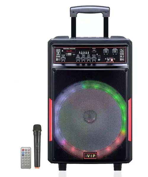 12 inch 40W Portable Karaoke Speaker with Wireless Mic+Remote jt1238