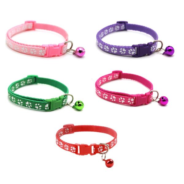 Pack of 5 Pet Collars for Cats or Small Dogs Girl Shop Today. Get