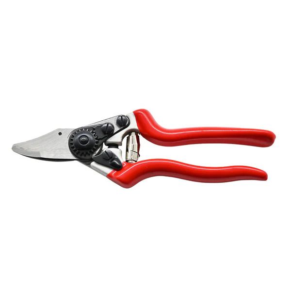 Dura 6 Pruning Shear