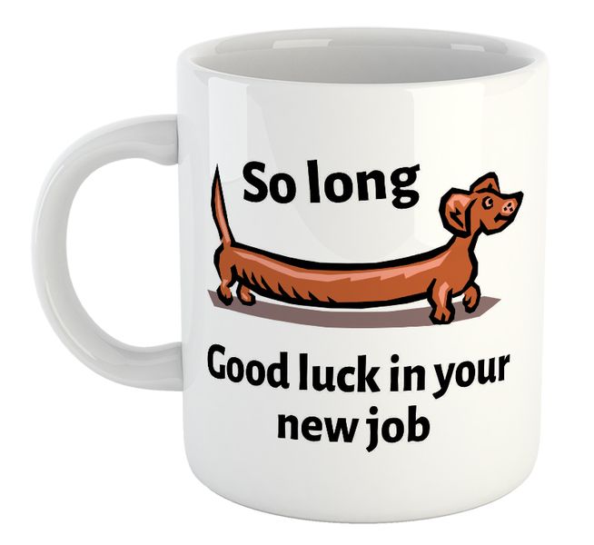 So Long Good Luck In Your New Job Coworker Office Leaving Gift Mug