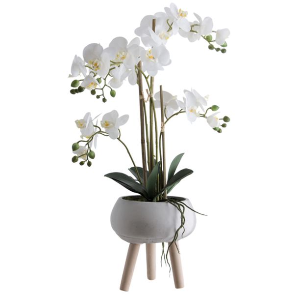 Realistic Elegant Silk Orchids