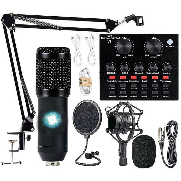 Podcast Equipment Bundle, BM-800 Condenser with Voice Changer