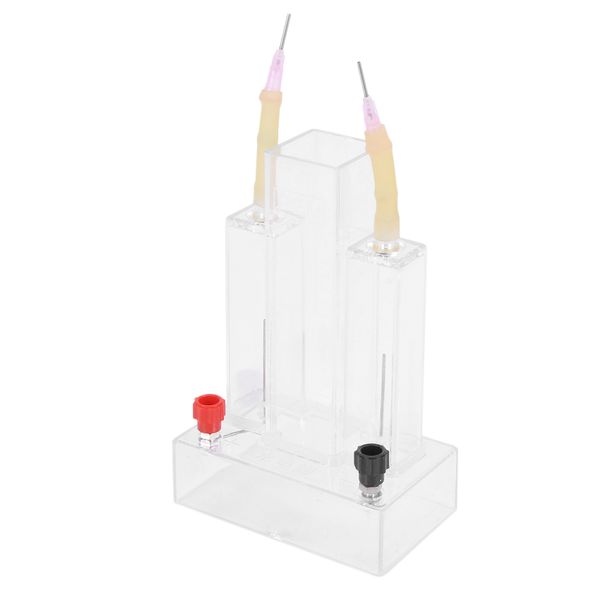 Water Electrolysis Experiment Hydrogen and Oxygen Teaching Instrument