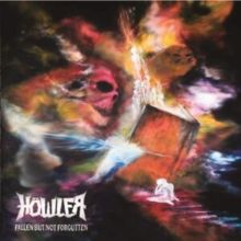Fallen But Not Forgotten (CD / Album)