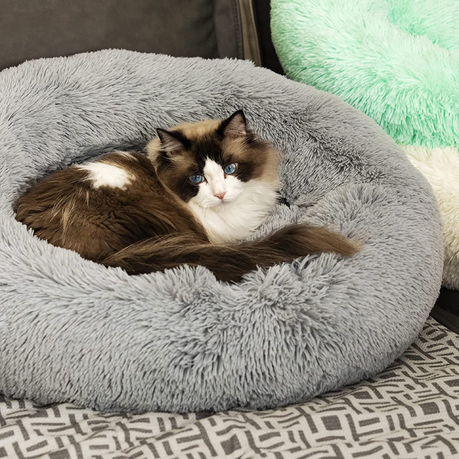 Calming bed hotsell for cats