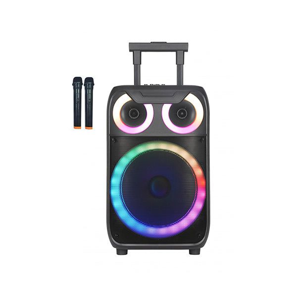 Hi-Power Portable 60W Trolley Speaker 15" NDR-C15