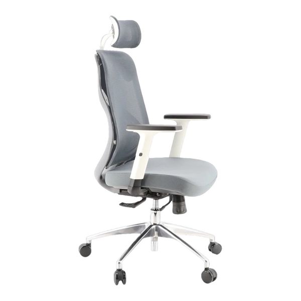 WP Ergonomic Adjustable Office Chair with Lumbar Support