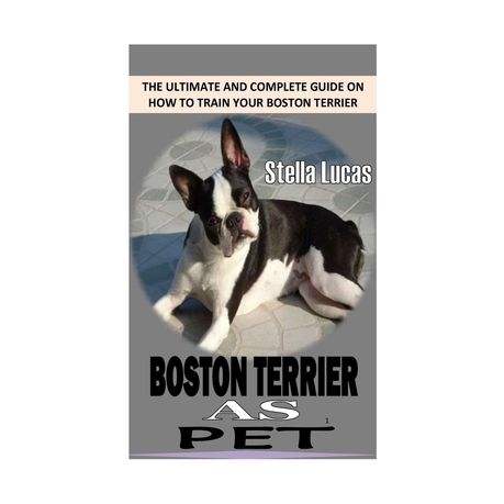 how to train my boston terrier