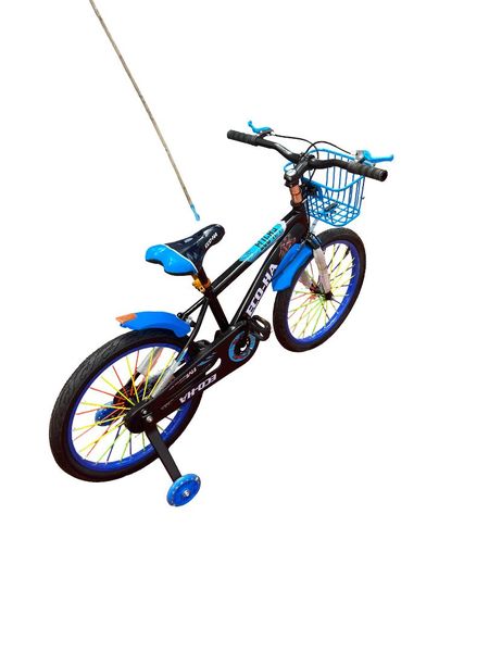 20-inch Eco Ha Bicycle Blue