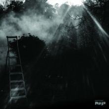Animal Électrique (Vinyl / 12" Album)