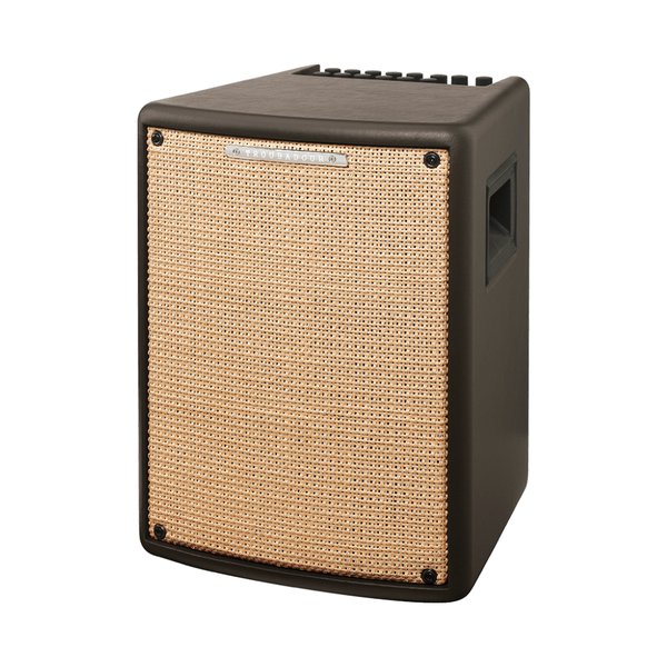 Ibanez T80II T-Series Troubadour 80W Combo Amplifier