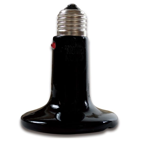 NOMOY Reptile Frosted Ceramic Heat lamp - 50w (With Indicator)