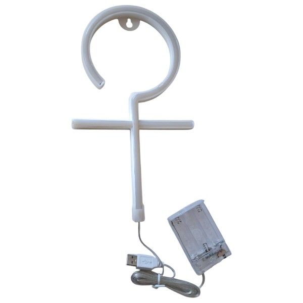 Female Symbol Neon Sign Wall Lamp USB And Battery Operated