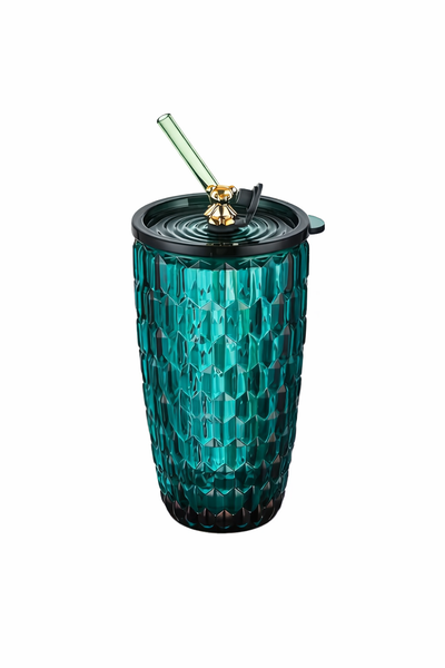 500ml Water Glass Tumbler with Lid and Reusable Straw Travel Cup Drinking