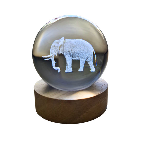 Small Crystal Ball Lamp with 3D Engraving and Luminous Base - Shark Reef