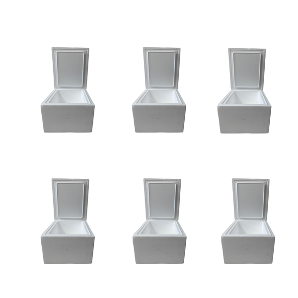 Multipurpose Polystyrene Cooler Box 8L- 6 Pack