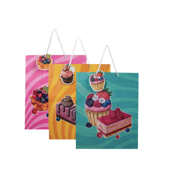 Designer Gift Bags Cakes Large