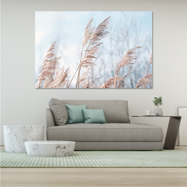 Pampas Grass Blue Sky - 150 x 100cm (Landscape)
