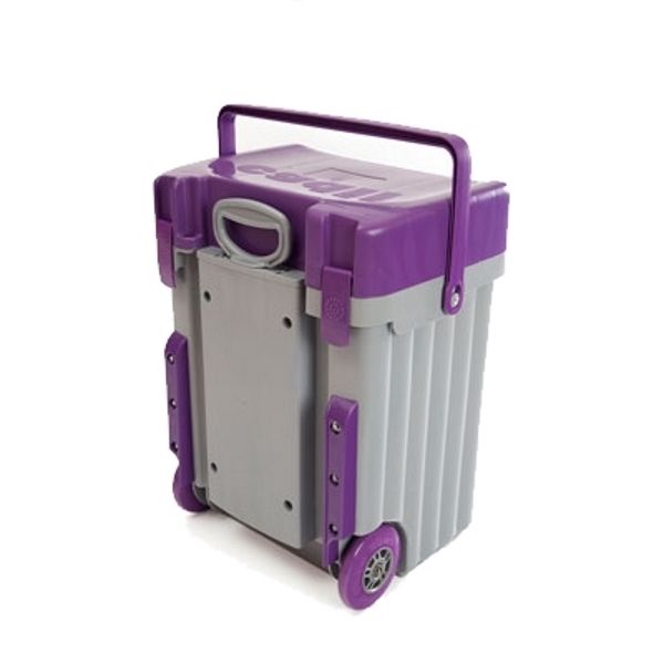 Purple Lid With Grey Body image