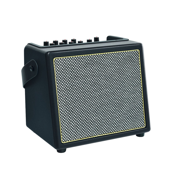 Rowin 30W Portable Acoustic Guitar Amplifier Amp Bt Speaker Us Plug