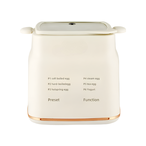 Handheld 300W Egg Boiler and Steamer with Adjustable Heat Control