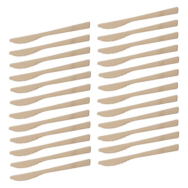 Regent Disposable Bamboo Knives 170mm 2 Pack 24 Pieces