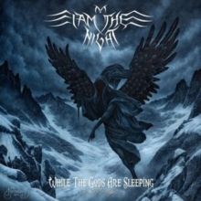 While the Gods Are Sleeping (CD / Album)