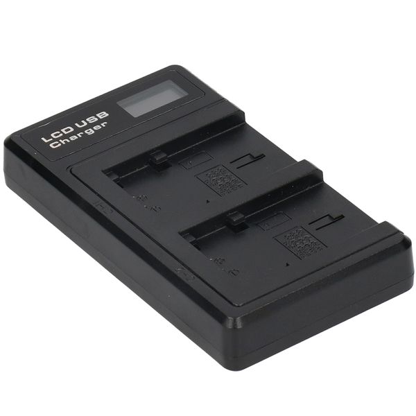 Dual NP-FV100 Charger with LCD Display