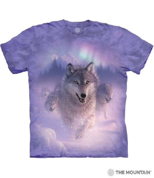 Northern Lights - The Mountain