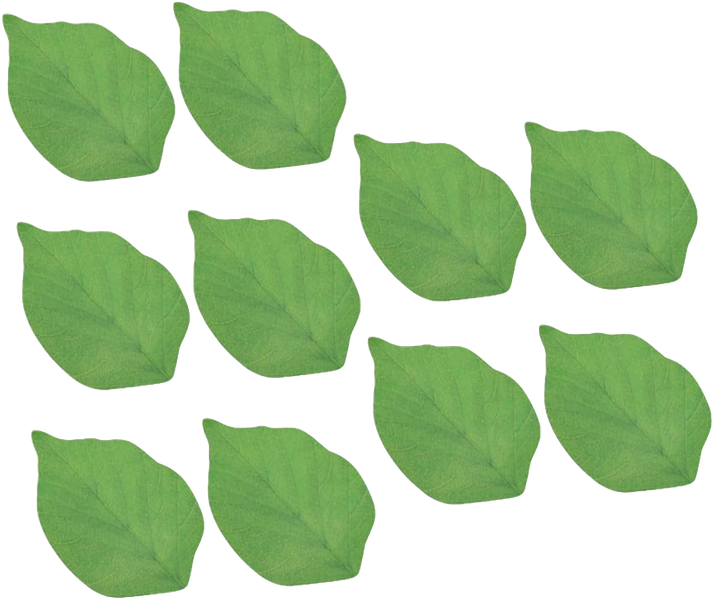50 Pcs of Leaf Sticky Notes Memo Pad, Creative Simulate Tree Leaf Paper