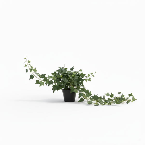 Lush Potted Realistic Artificial English Ivy Long Vine