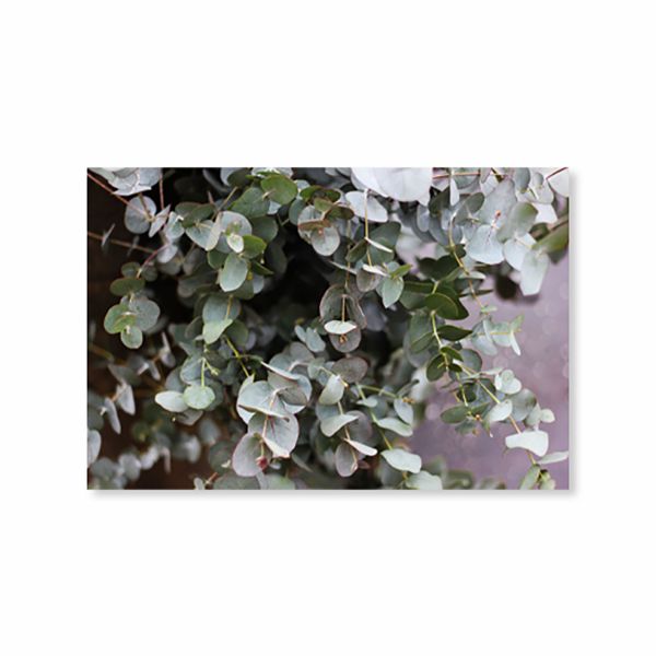 Canvas Wall Art - Leaves - 119cm x 84cm
